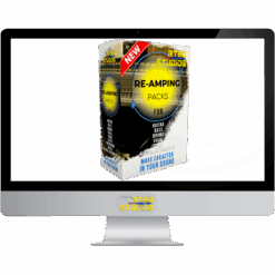 Prenotazione - Reamping Strumenti Musicali