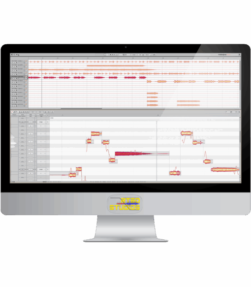 Intonazione Voci e/o Strumenti ONLINE