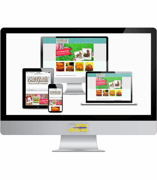 Siti Web