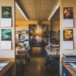 AGENZIE DI MANAGEMENT